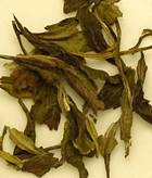 Cinnamon Gourmet Tea Photo